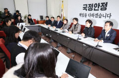여야, 무안항공기 사고에 