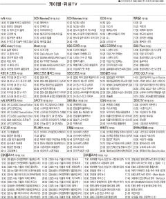 12월31일(화) 케이블·위성TV 편성표