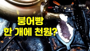 [영상뉴스] “천원의 추억이 사라졌다”… 고물가에 밀려난 서민 간식 붕어빵