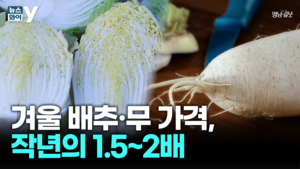 [뉴스와이]배추·무 가격 급등에 ‘김장’조차 부담