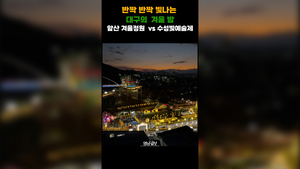 반짝 반짝 빛나는 대구의 겨울밤, 앞산 겨울정원·수성빛예술제