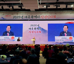 홍준표 대구시장 