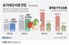 설 차례상 비용, 또 역대 최고치 경신…전통시장 30만원, 대형마트 41만원
