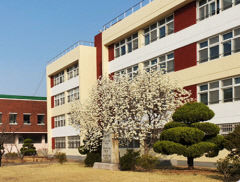 대구 동구 정동고 이전사업 잠정 보류, 