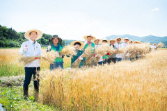 구미시 도개면 밀제분 공장, 농가 소득 주도