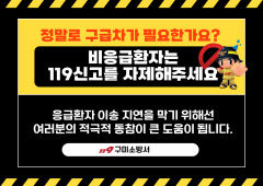 비응급환자의 119 신고, 