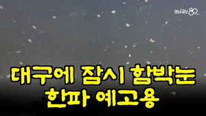 [영상뉴스]대구에 잠시 함박눈, 한파 예고용