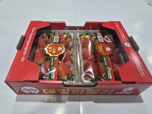 경북딸기, 두바이시장 수출 본격화