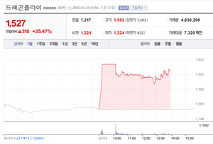 드래곤플라이, 25% 급등…장 중 상한가 터치