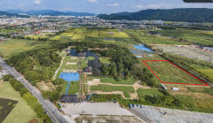 신라 왕경의 퍼즐이 맞춰졌다, ‘진짜 동궁’ 발견