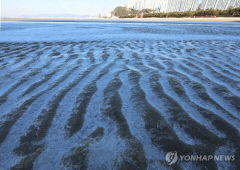 주말 강추위 이어진다…대구지역 영하 10℃ 아래로