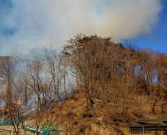경주시 양남면 야산에서 산불… 0.2ha 소실, 70대 남성 화상 입어