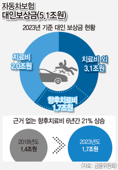 정부, 자동차 사고 '나이롱 환자' 막는다… 경상 환자 '향후 치료비' 배제