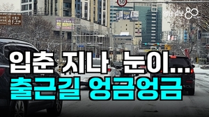 [영상 뉴스] 대구 뒤덮은 ‘눈 폭탄’... 출근길 혼란 속 아이들은 ‘눈싸움’