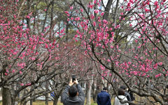 낮 최고기온 18℃ 대구경북 완연한 봄 날씨…