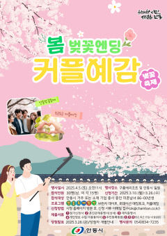 안동시, 2025년 커플 예감! 벚꽃엔딩 개최
