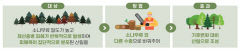 [산림이 미래다]〈중〉소나무재선충병 대안은