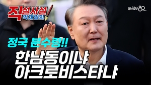 [직설사설]한남동이냐 아크로비스타냐