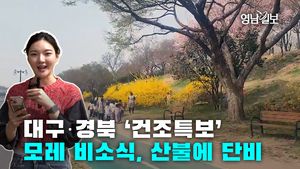 대구·경북 ‘건조특보’ …모레 비소식, 산불에 단비