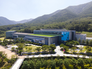 대구미술관, 특성화 교육 프로그램 운영