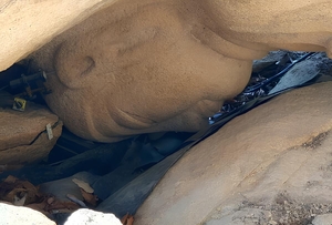 경주 남산 열암곡 마애부처님 108배 기도법회 성료