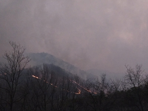 [속보] 의성 산불로 중앙선 고속도 안동분기점 전면 차단