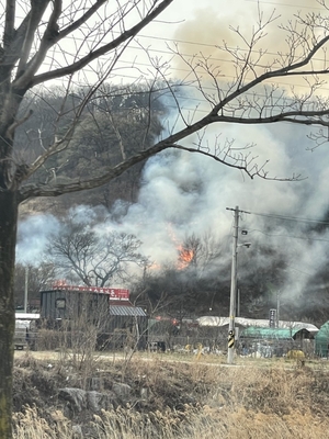 대구 달성군 본리리 야산서 산불…산림 946㎡ 소실