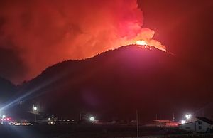 [2보] 봉화 물야면 산불 확산…주민 대피 진행 중