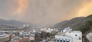 청송군, 길안 산불 넘어오자 비상대응 돌입... 주민 안전 최우선 대응