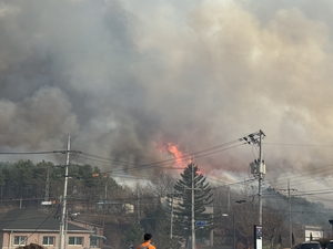 [속보] 의성군 산불, 풍천면으로 확산
