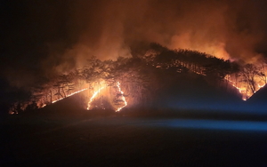 [1보] 봉화 물야면 가평리 야산서 산불 발생…진화 작업 총력