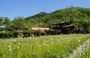 국토부, “일반인도 농림지역에 단독주택 건축 가능”