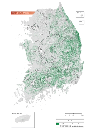 경북 휩쓴 초대형 산불…‘소나무 숲’ 따라 활활 번졌다