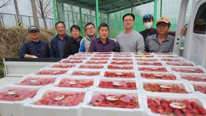 [포토뉴스]포항시딸기연합회, 이재민에게 딸기 기부