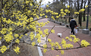 대구·구미·경산·칠곡·상주·고령 건조주의보 발효