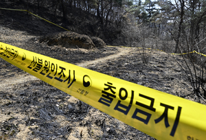 경북 산불 참사 원인 조사 본격화…경찰, 성묘객 50대 입건