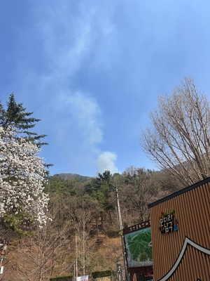 <속보>대구 앞산서 산불…헬기 6대 투입해 진화 중