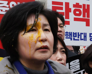 민주당 백혜련 의원, 기자회견 중 ‘계란 봉변’…경찰 수사 착수
