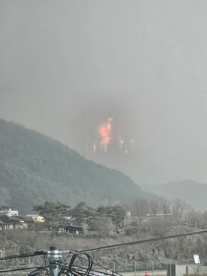 [속보] 청송군 “전 군민, 산불 멀리 떨어진 곳으로 대피”