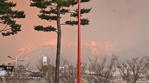 [속보] 청송 주왕산국립공원까지 산불 번져