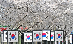 오늘 尹 탄핵심판 판결…대한민국 '운명의 주사위' 던져졌다