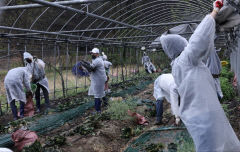 한국산업단지공단, 의성 찾아 복구지원 봉사