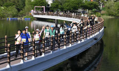 [포토뉴스] 달성 송해공원서…포항 철길숲에서…절정의 봄날 거닐다