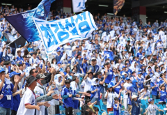 삼성 라이온즈 인기 뜨거워…19번 경기 중 13번 매진
