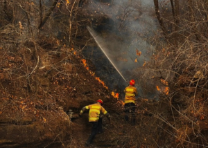 “한 생명이라도 더” 불 속으로 달려간 영양 소방관들의 7일