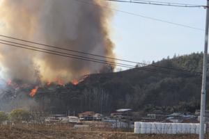 경북 또 산불 “자라 보고 놀란 가슴, 솥뚜껑 보고 놀라”