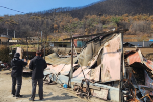 안동시 공무원, 산불피해 조사 ‘구슬땀’