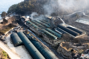 산불 피해 양식어민들 “수협보험 있지만 보상 제외” 반발