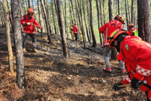 대구 앞산 산불 원인 ‘민간단체 담뱃불’ 가능성에 무게