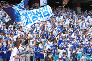 삼성 라이온즈 인기 뜨거워…19번 경기 중 13번 매진